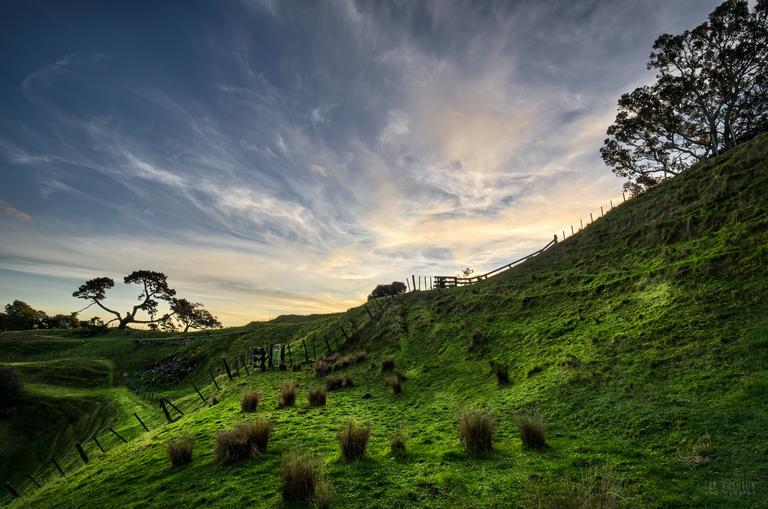 Ian Rushton;Rolling green pasture and not a sheep in sight!;One Tree Hill