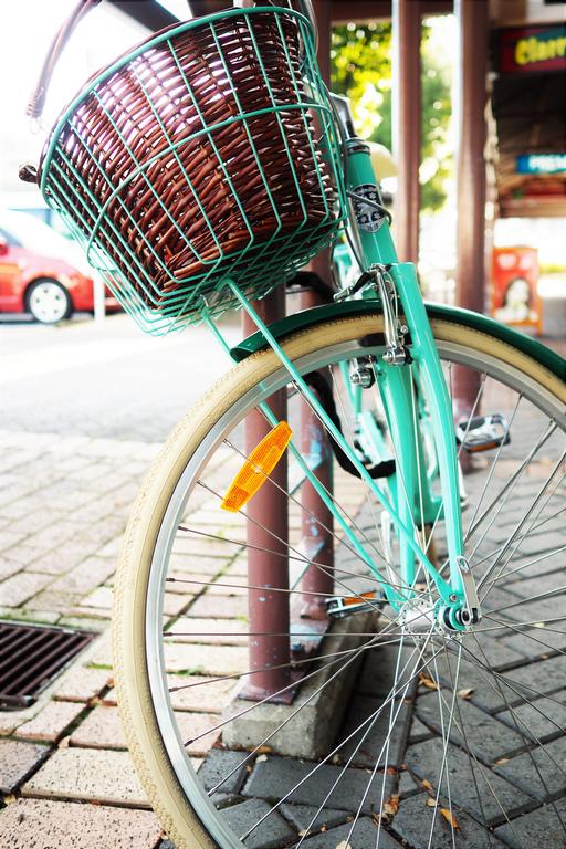 Jingkang Zhang;bike