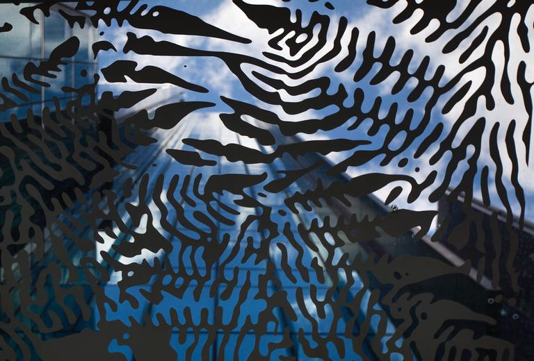 Jiongxin Peng;Glass Wall;Queen Street, Auckland City Center