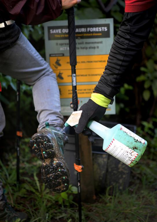 Leo Kwon;Save our Kauri;Sanitising spray on tramping boots to protect our Kauri.