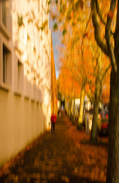Roger Brown;Autumn at Nugent St