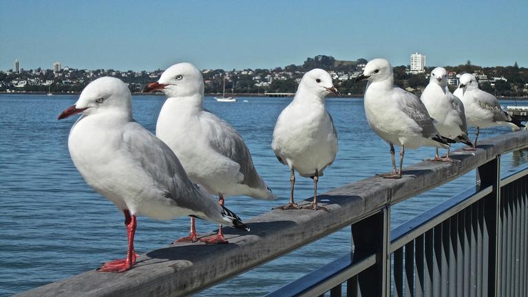  PRIVATE GOSSIP.