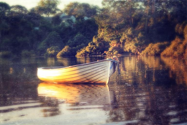 Su Leslie;Adrift