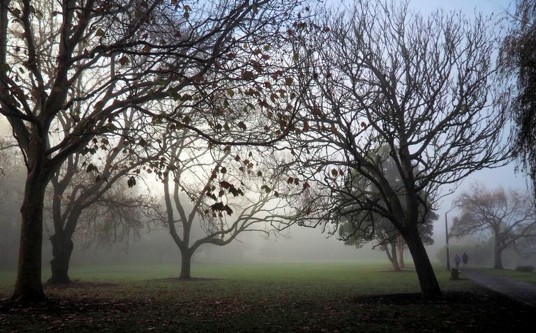 Chris Brown; Walk in the park; Western Springs in fog