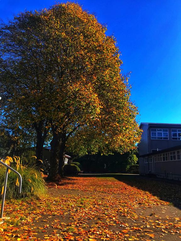 Bonnie Lu;  Autumn in school; This photo was taken from my high school it was autumn