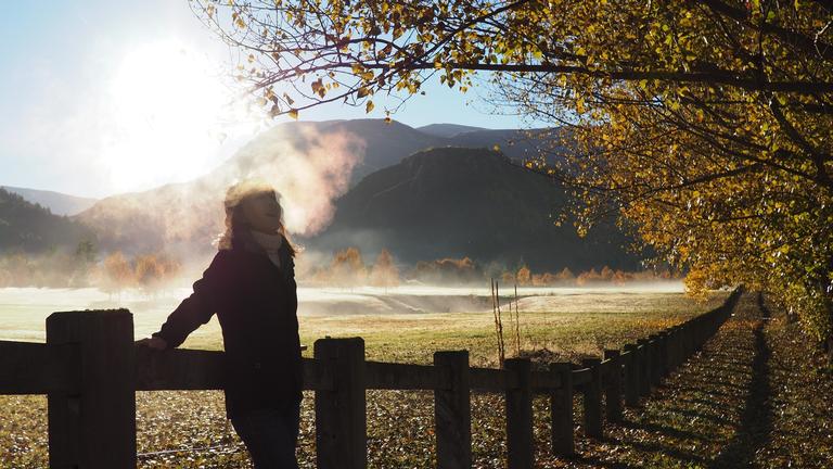 Cynthia Liu;morning falling breath;early morning roadside shoot