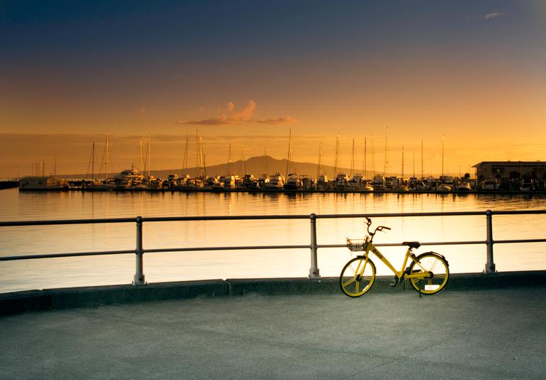 Paul Samson; Onzo Bike; I saw the Onzo Bike looking kind of cute against the early morning view of the marina and Rangitoto