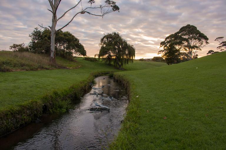 Sarah Davis; Trolley Bay; Abandoned shopping trolleys found in the Puhinui stream, Wiri.