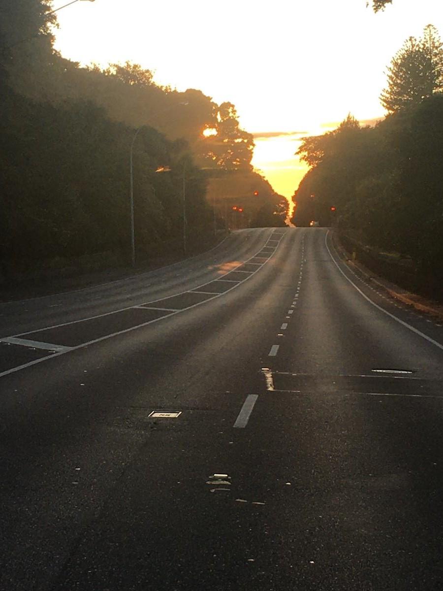 Adrienne Miller; Greenlane Gold; View crossing Greenlane road in early morninh