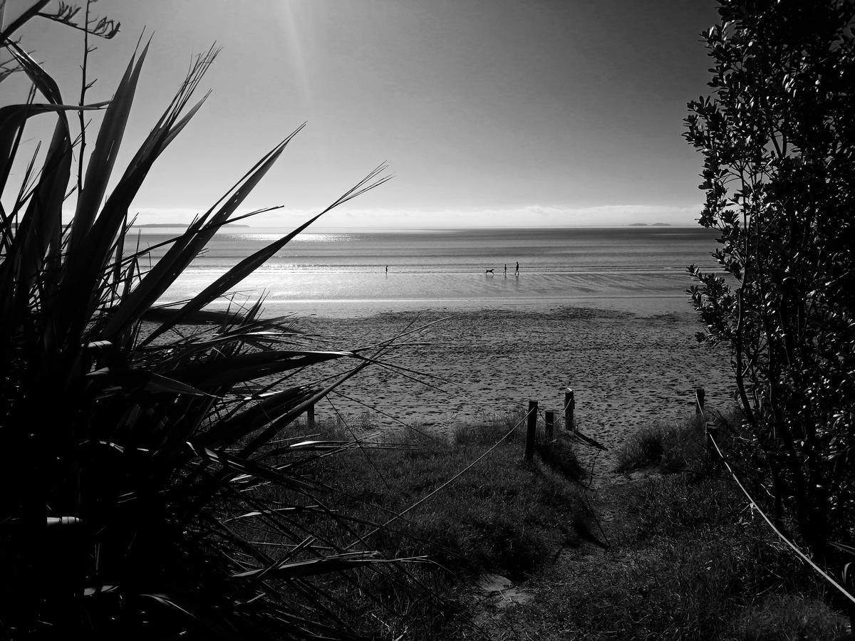 Fiona Kelly; Walk on the Beach