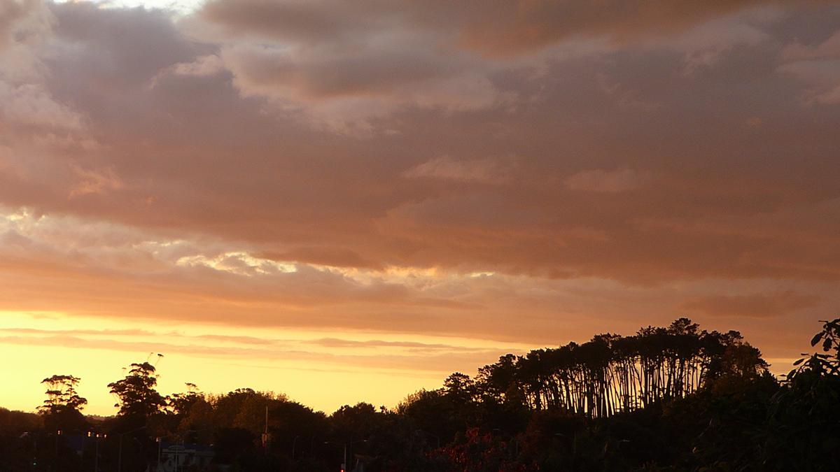 +Helen Wong; My Back Yard; Sunset over Western Springs