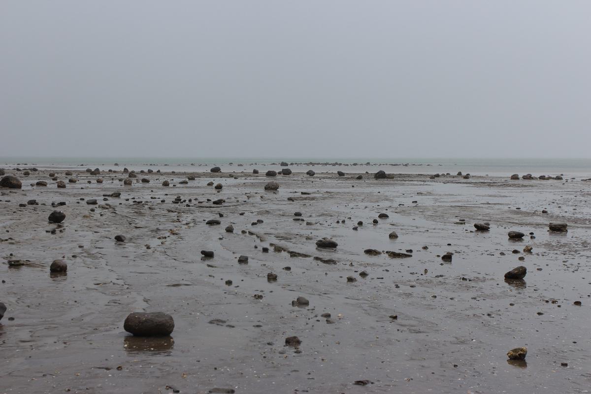 Jasmine Tuiā;  Shoreline