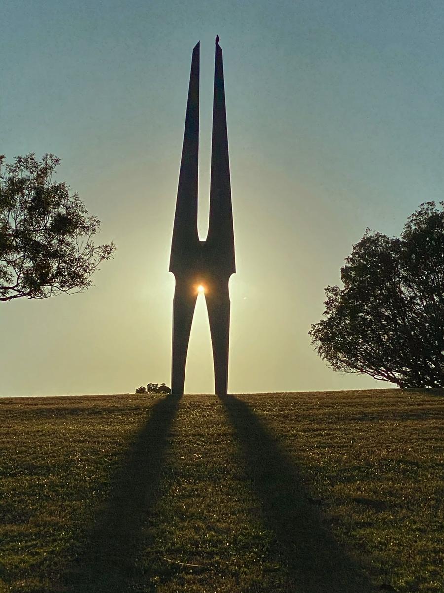 Lynn clayton;Kaitiaki in the Auckland Domain;Early morning there are few folk walking 