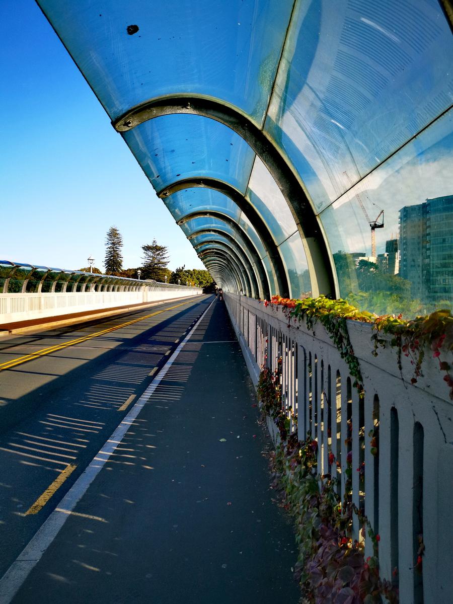 Mike Williams; Grafton Bridge at rush hour