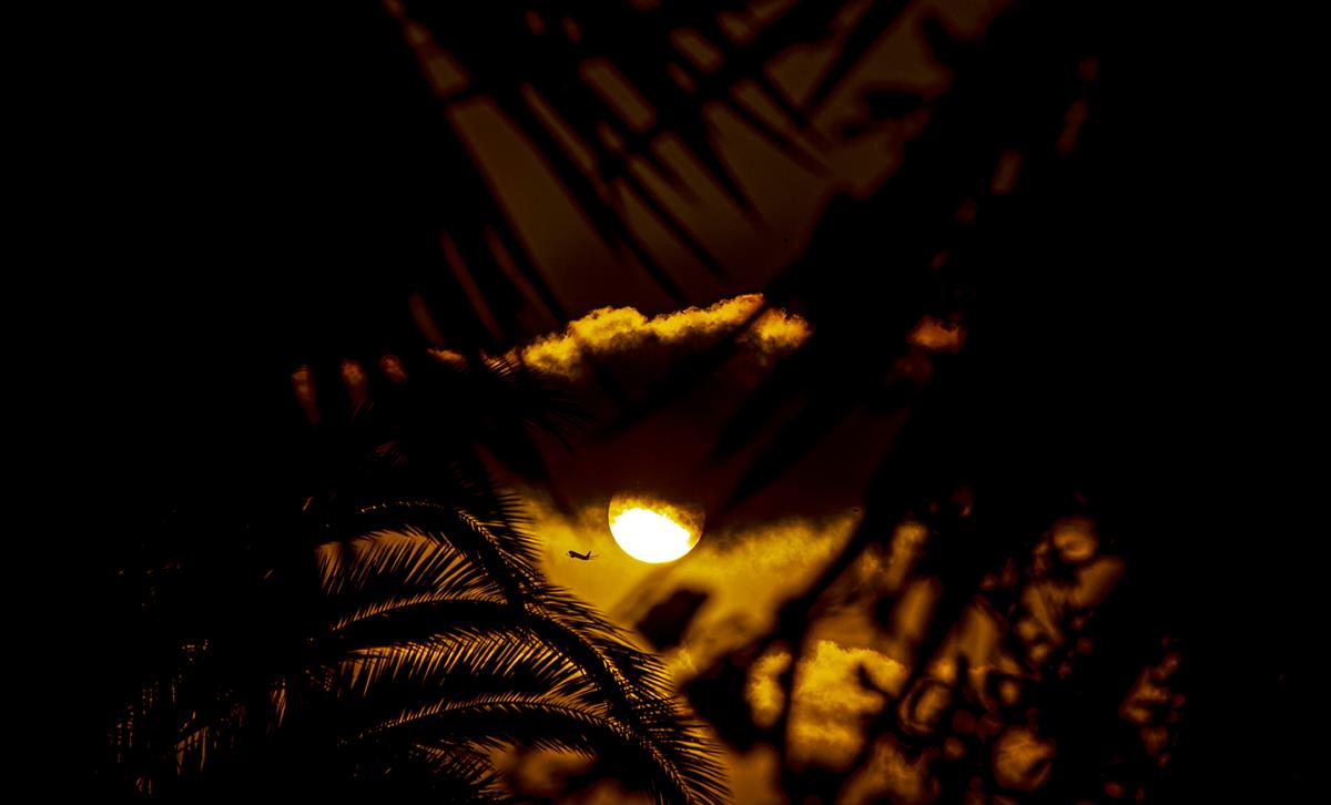 Raymond Sagapolutele;Sunset and Silhouettes;Sunset as seen from our backyard through our yuccas and the neighbours palm tree.  Also, aeroplane.