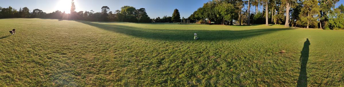 Michelle Mascoll; Saturday morning; Auckland parks