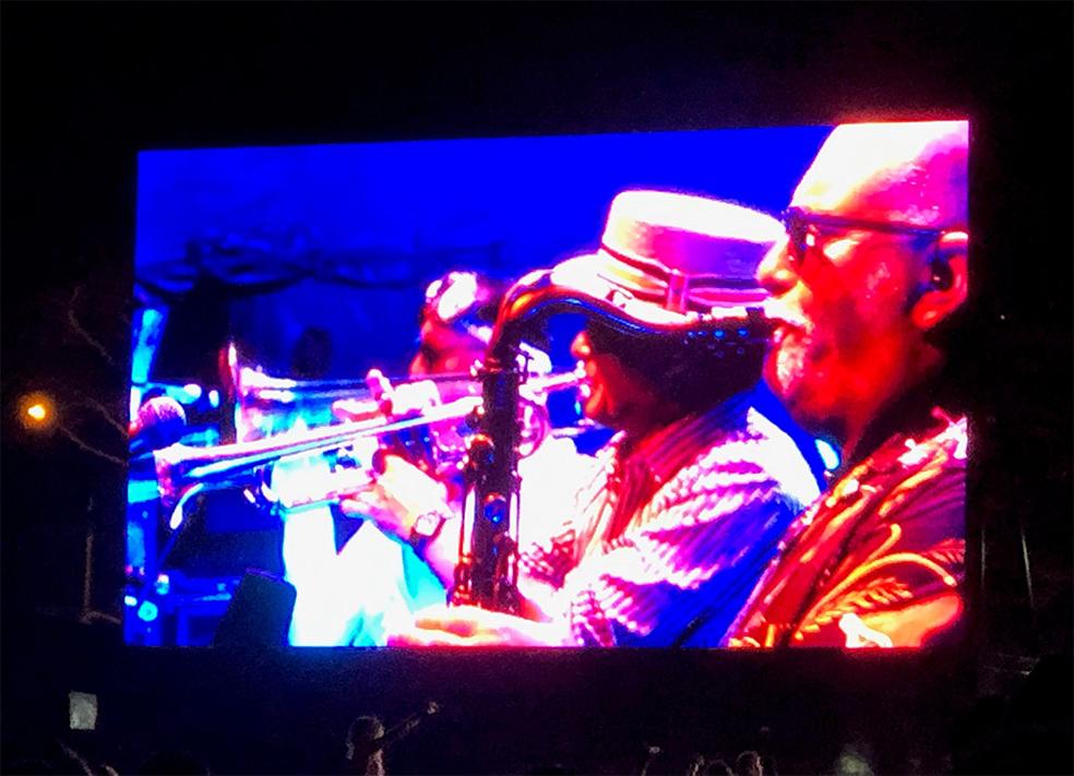 Anna Maria Bribiesca; Fat Freddy's Drop Outer Fields Western Springs F;Fat Freddy's Drop Concert