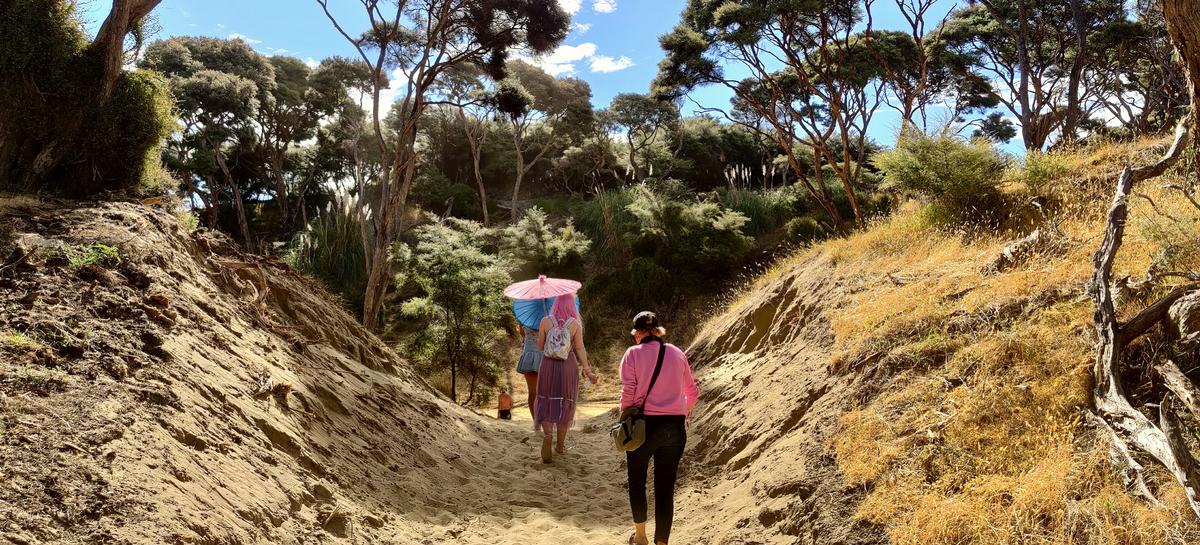 Rob Warner;Follow the yellow sand road;The pathway to one of the magial stages at Aum NYE Festival that everyone took to find what they were looking for.