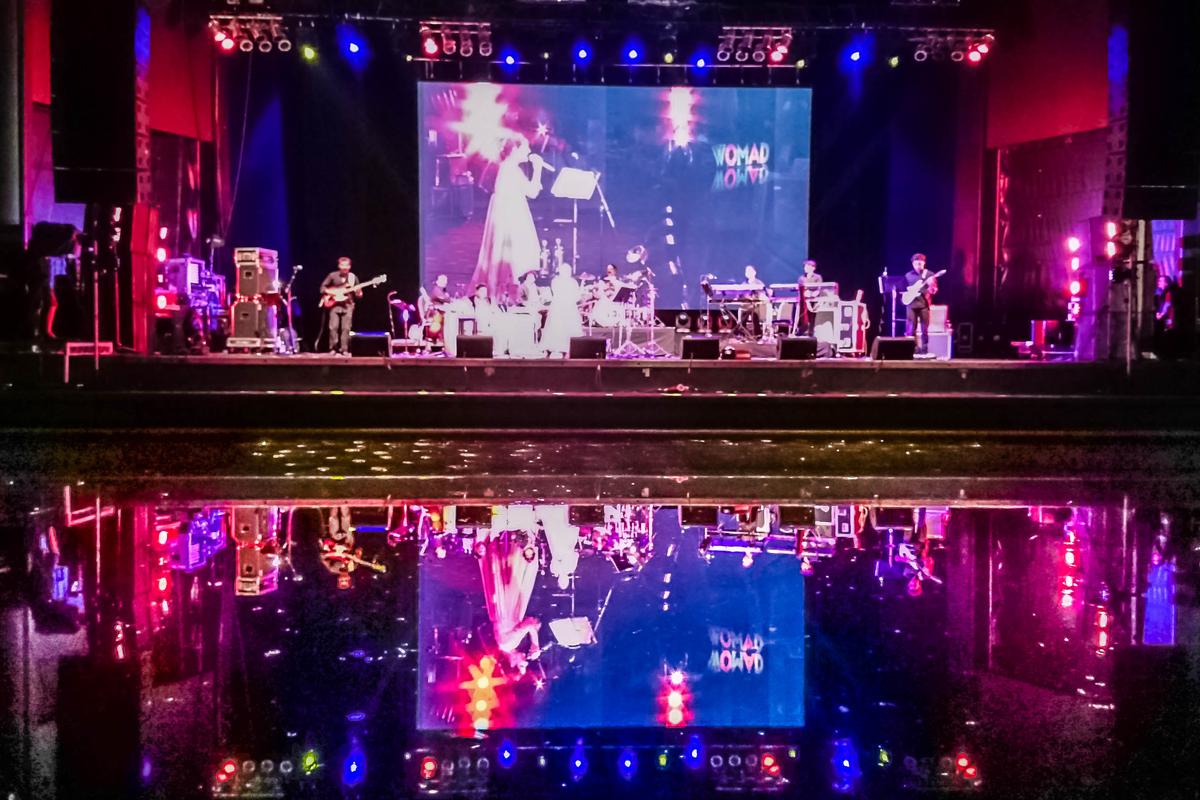 VIPUL UPADHYAY; WOMAD night; WOMAD best musical feast in New Zealand