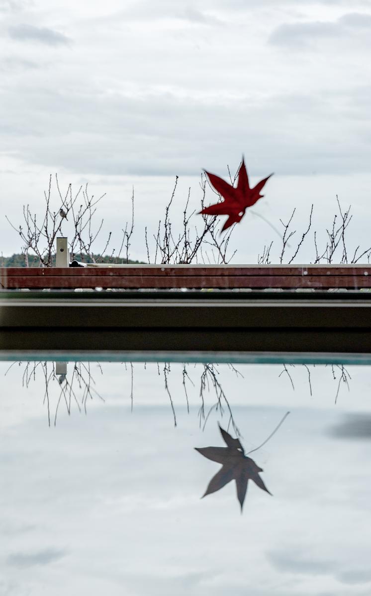 Hyun Duck Park; Morning view after stormy night;An interesting picture was reflected on the table