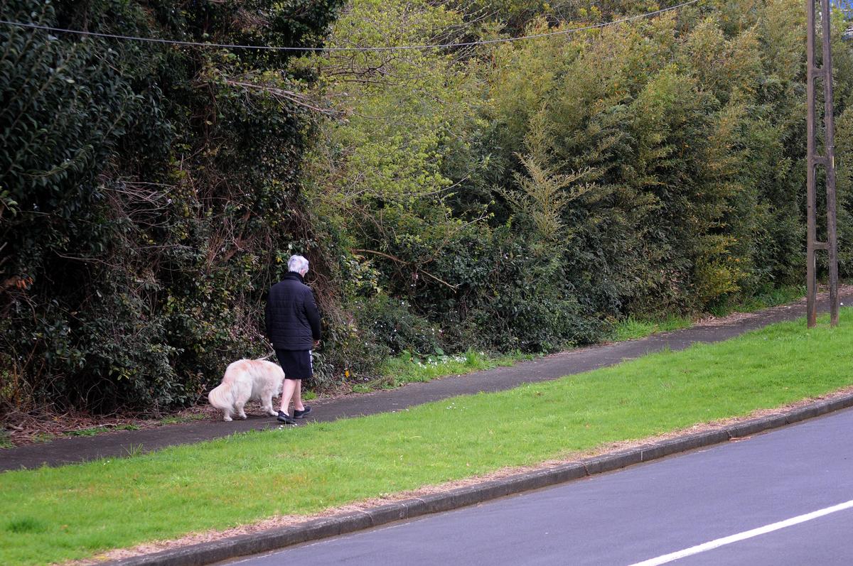 Paul Khor; Dog and Me and All That Space;Very few people about during lockdown. Lady was one of the very few out for a walk.