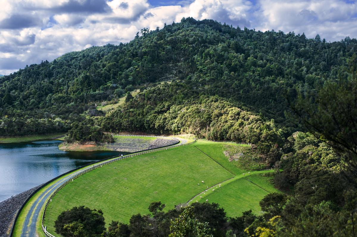 Paul Samson; Wairoa Reservoir; Image taken from lookout