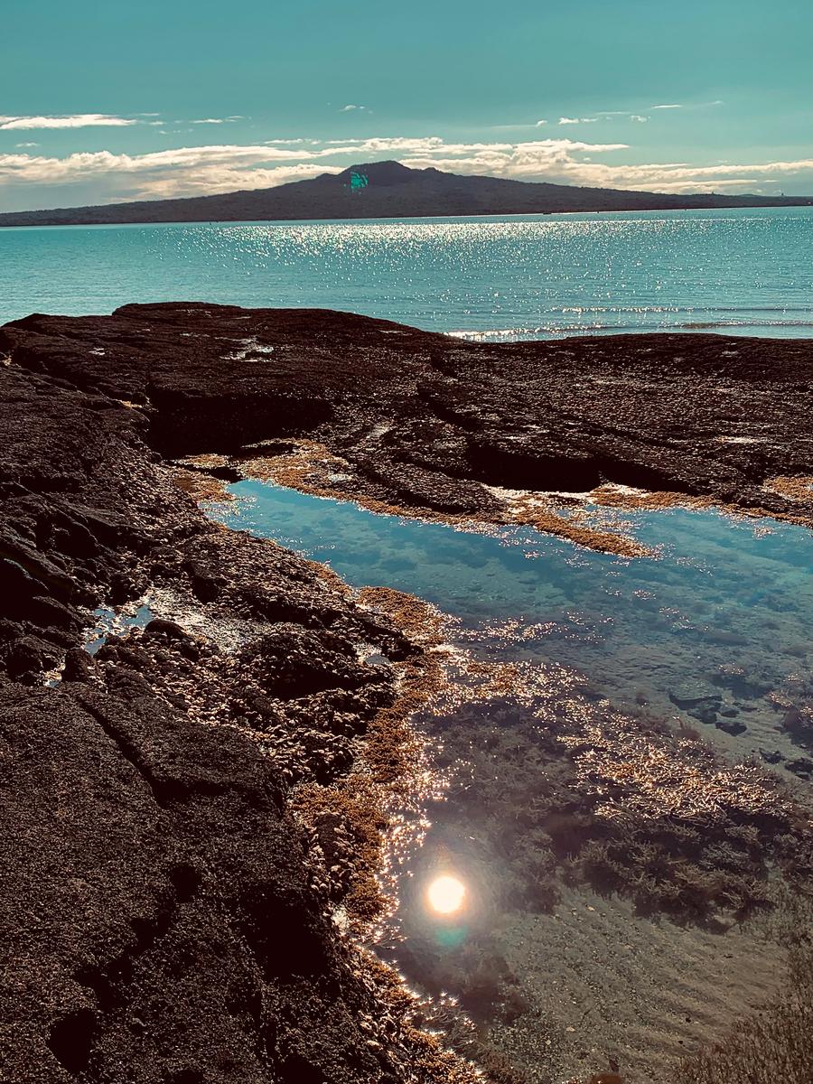 Sally Tagg;Cheltenham rocks;Low tide foraging for seaweed