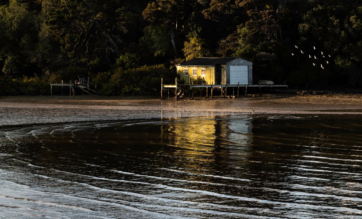 mercurio;Tranquil Morning ;A quintessential Kiwi Bach by the sea