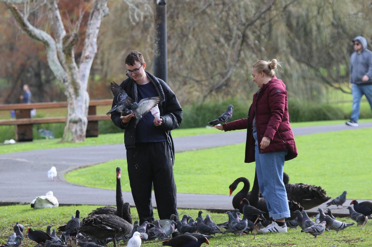 Cathy Casey;Feeding the birds at Western Springs Lakeside Te Wai Ōrea Park