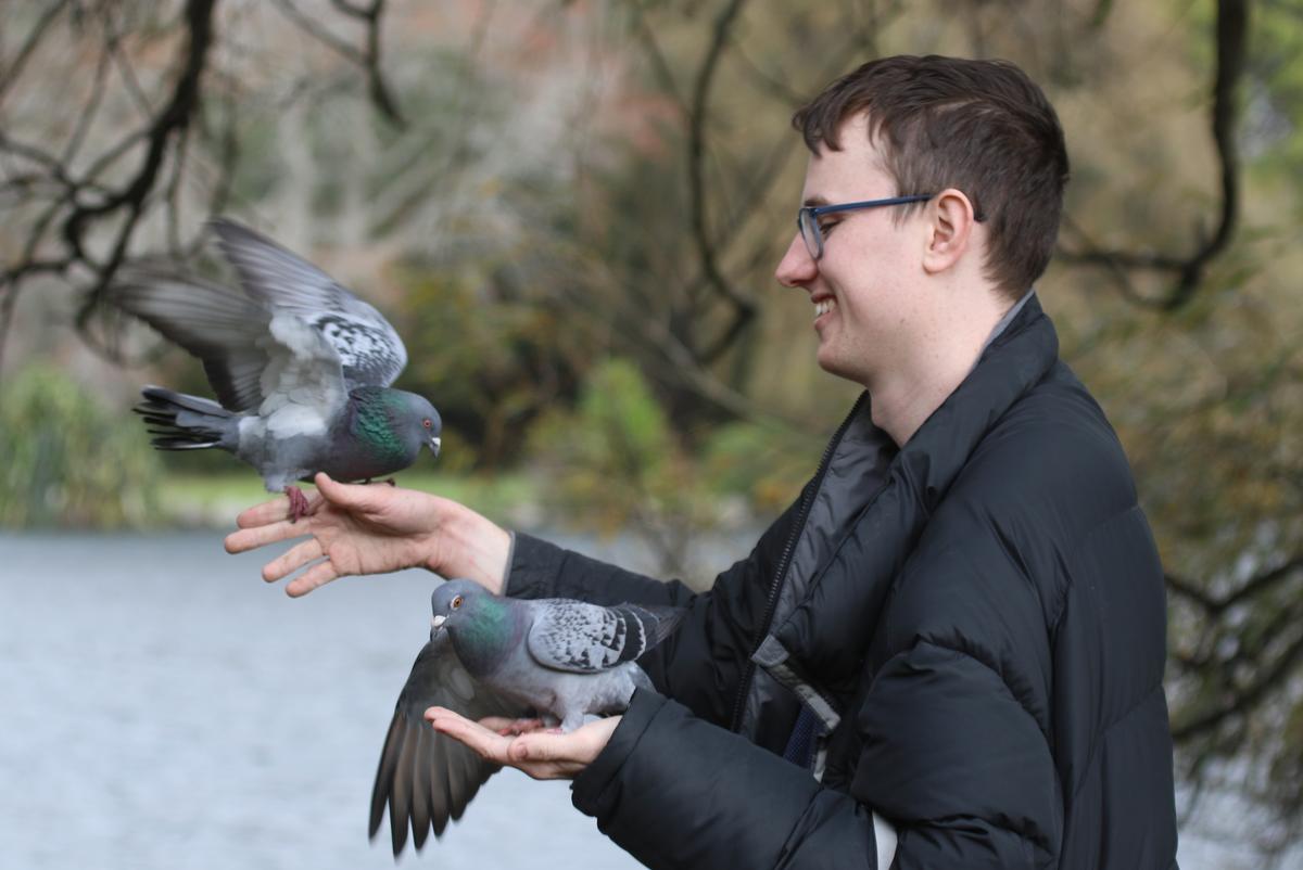 Cathy Casey;Feeding the birds at Western Springs Lakeside Te Wai Ōrea Park