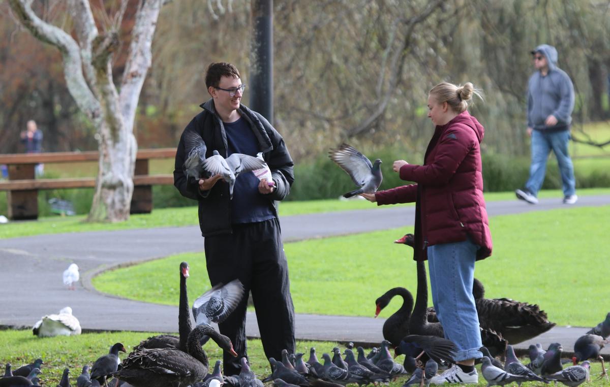 Cathy Casey;Feeding the birds at Western Springs Lakeside Te Wai Ōrea Park