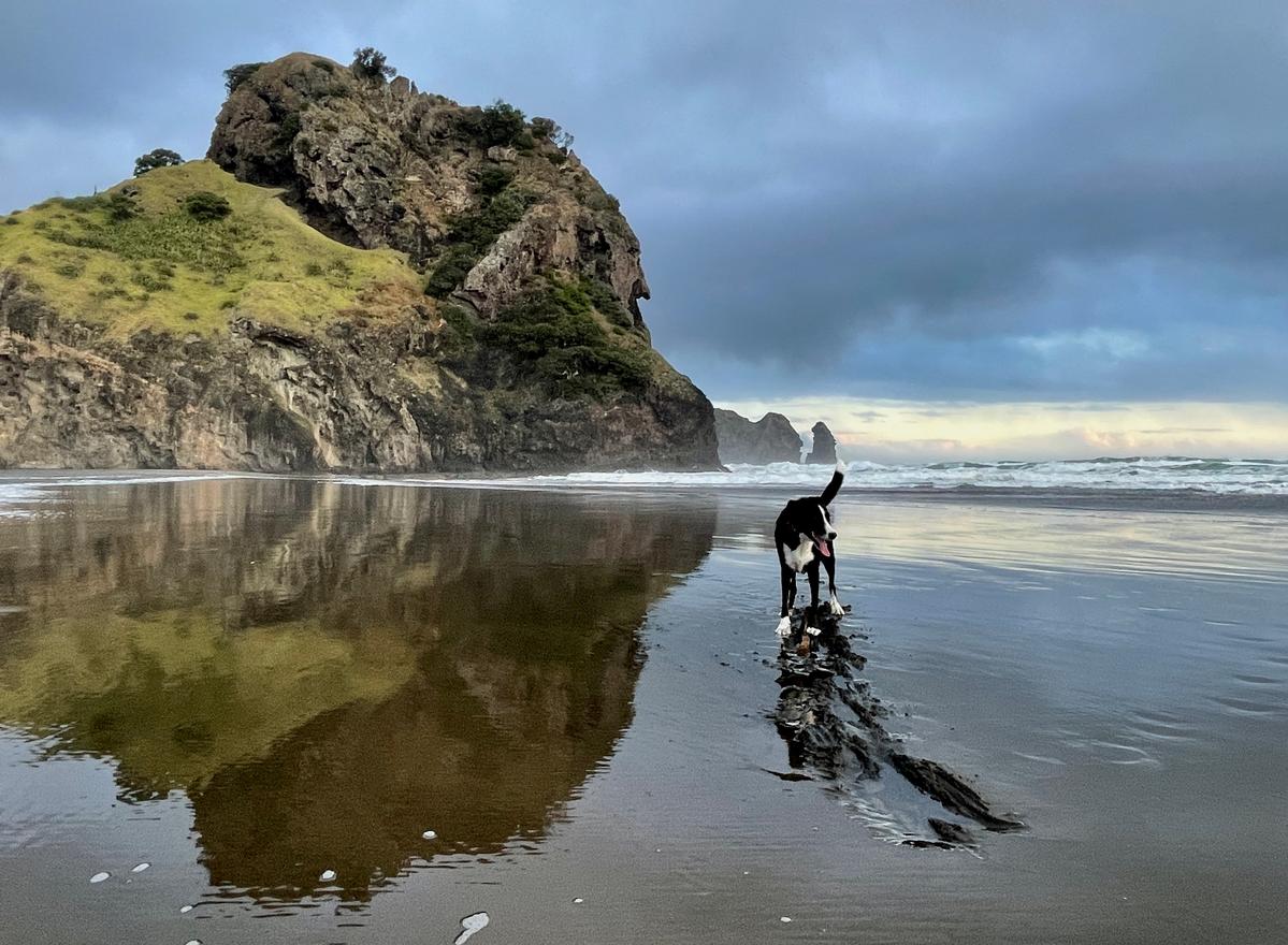 Cindy Baxter;Te Piha, between showers