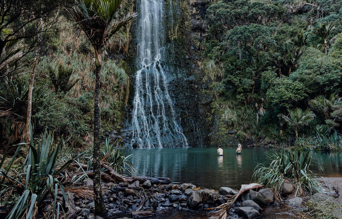 David Prentice;Early morning swim