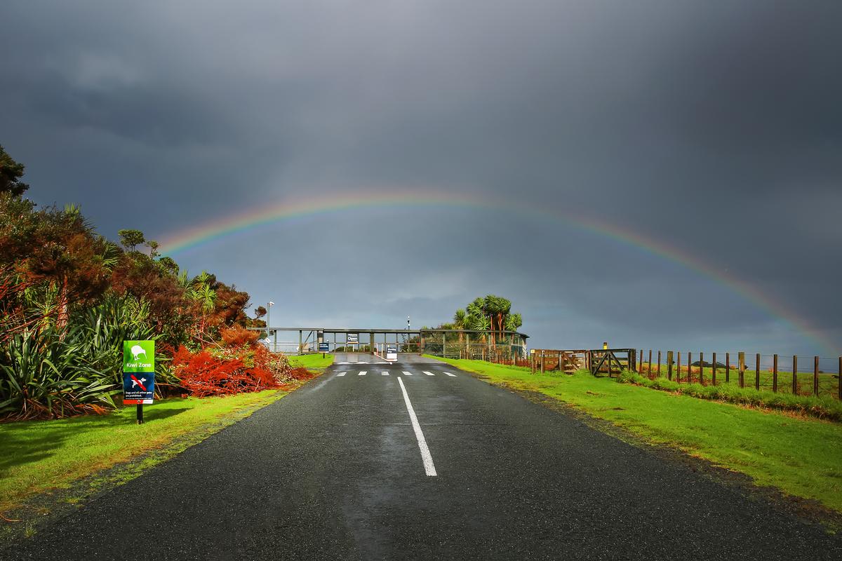 JONG KOO LEE;RAINBOW FOR KIWI ZONE