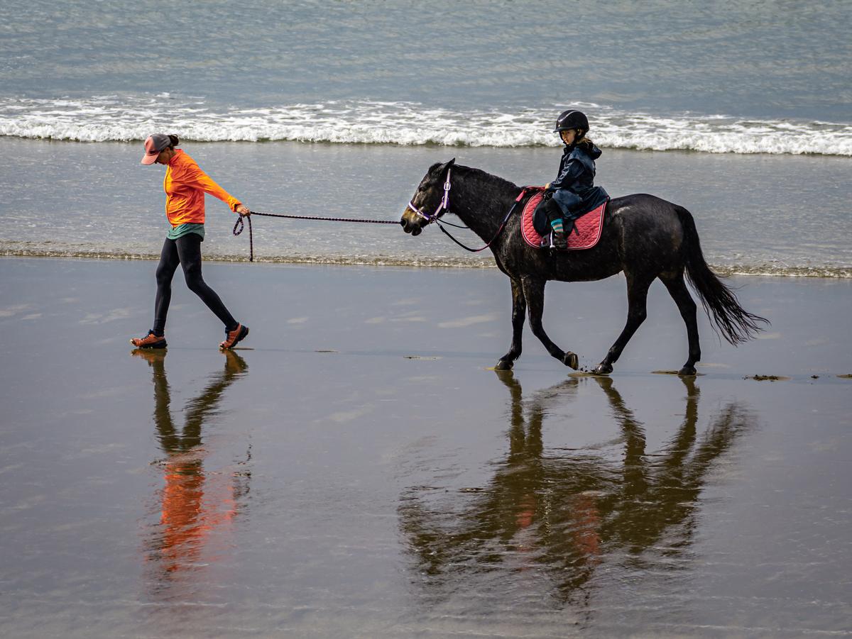 Jeff Hewson; Orewa Reflections