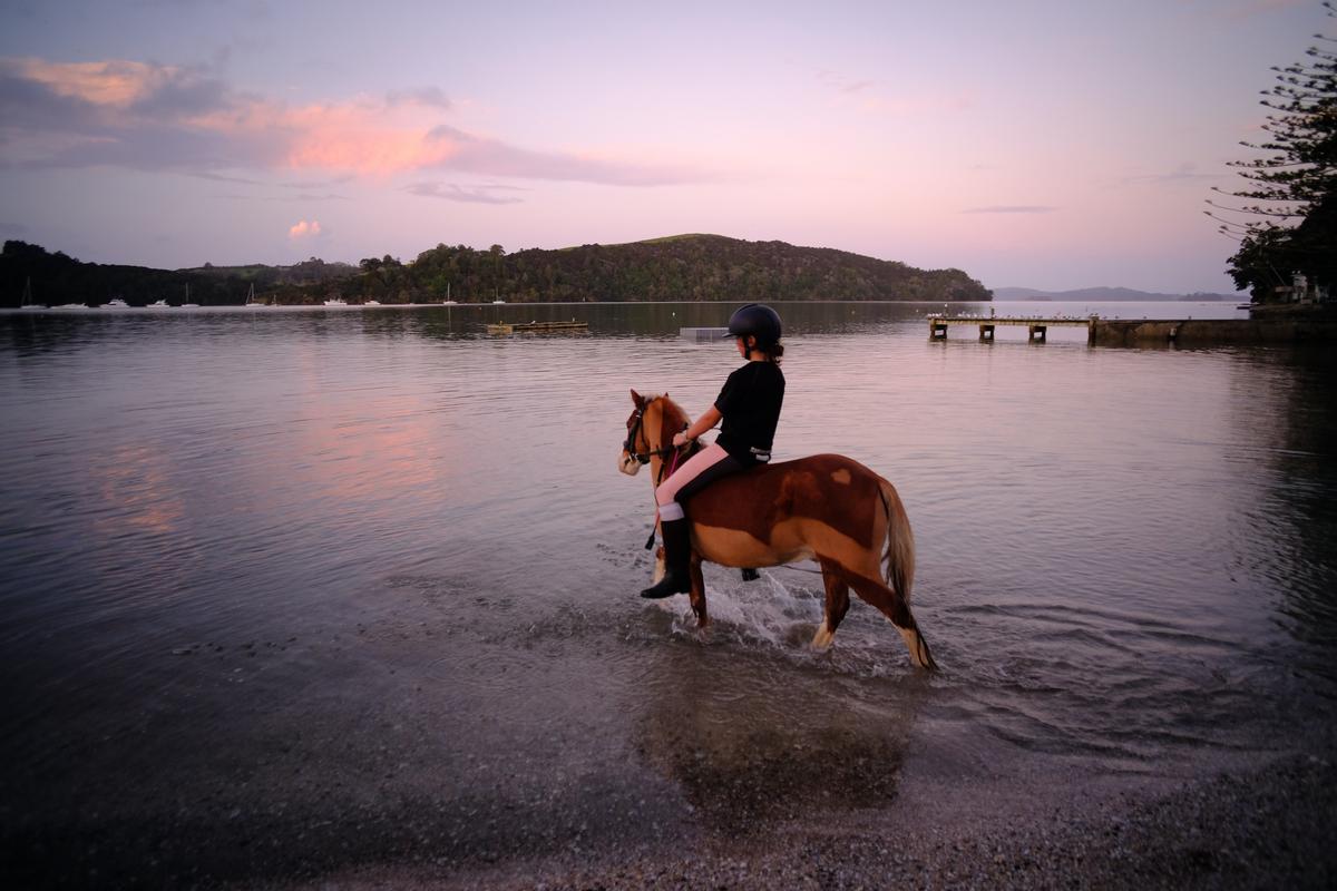 Jeffrey Williams;Exercising the pony