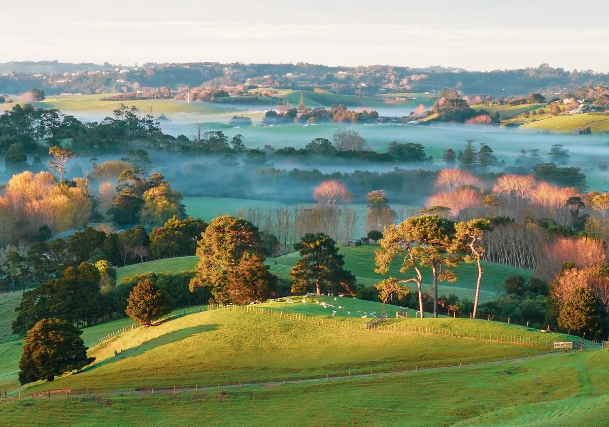 Katherine Norman;Misty Morena Matakana