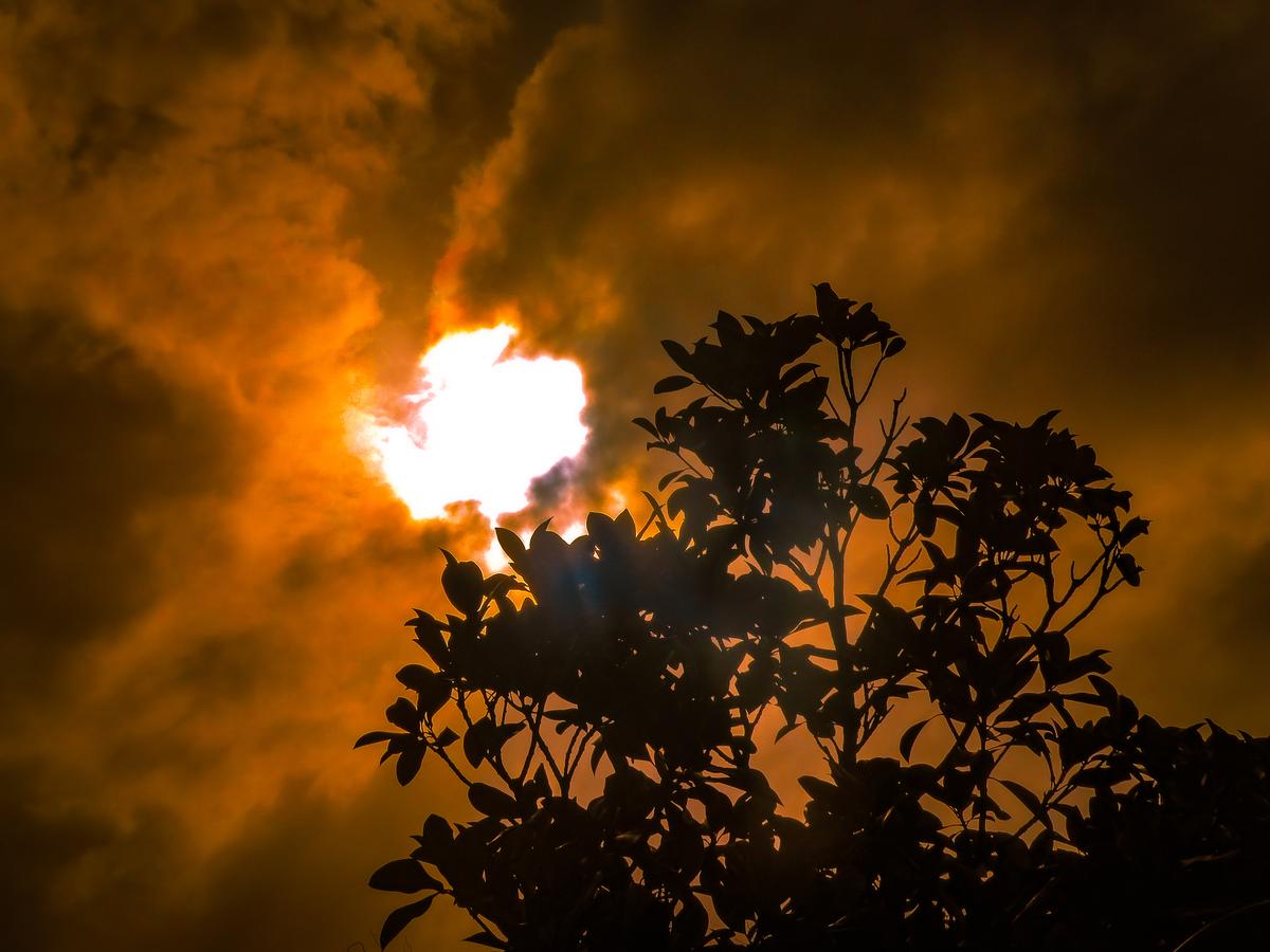 Niluk Ranaweera;The heavens are calling