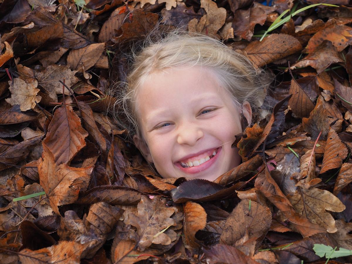 Stefan Schliebs;Autumn Fun