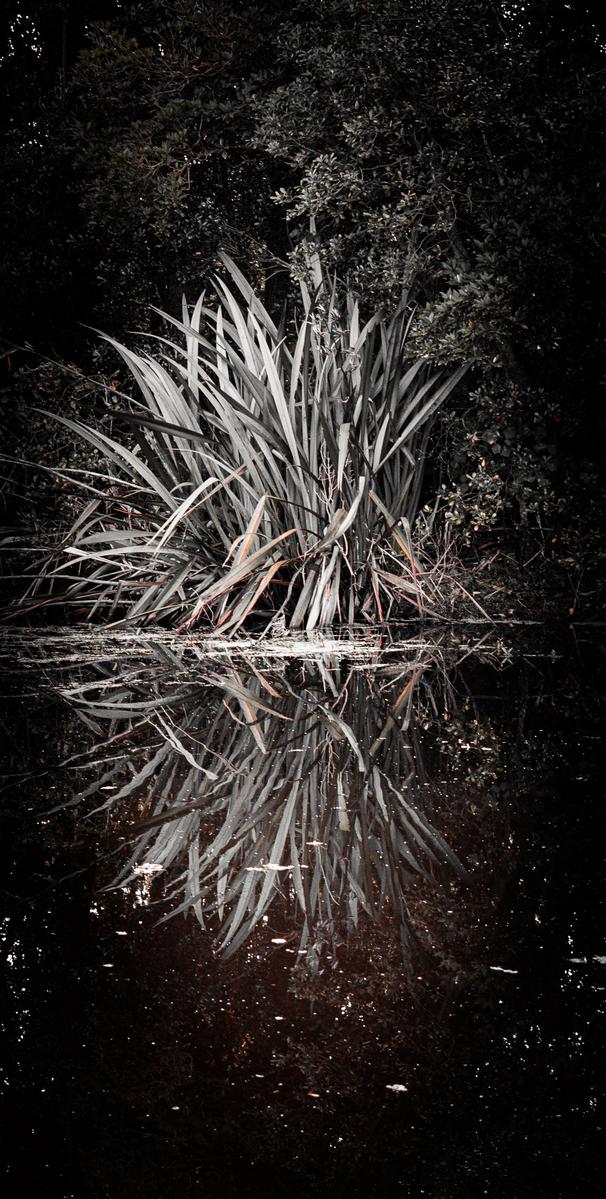 Abby Cullinan;Geometric Flax;This is a geometric shape which is doubled by the reflection and it has a lot of contrast.