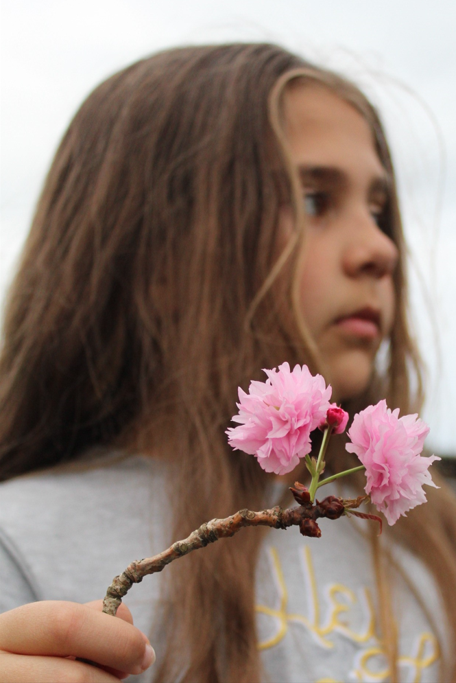 Amy van der Merwe;Flower