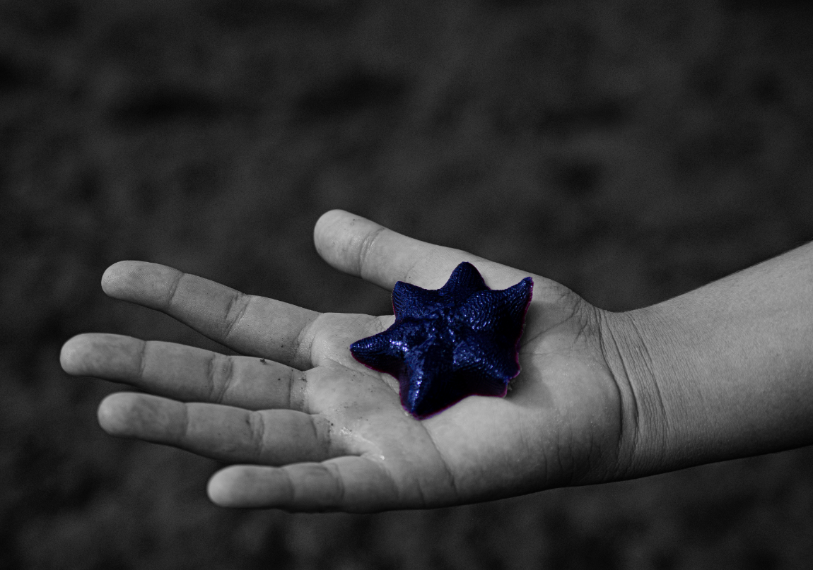 Amy van der Merwe;Starfish