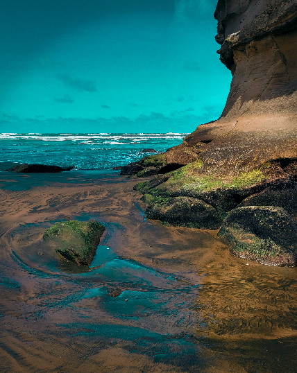 Anuke Rnanweera;Art by nature ;Diverse colours at muriwai beach