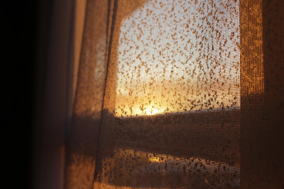 Arshpreet Kaur;Avoiding Work;This was taken when I told my mum I was cleaning my room. I had a good playlist on and was doing my work when I noticed the sunset from my window and instantly started shooting away.