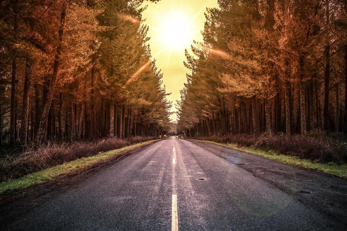 Charlie Deng;Long road ahead   Mt Tongariro ;Taken on the road to Mt Tongariro, a moment in a lifetime