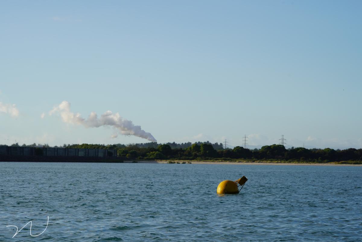 Chenguang Nie;Industry and nature