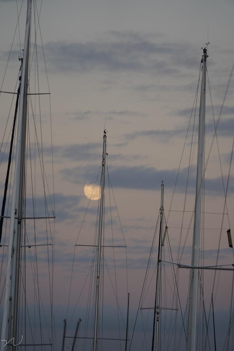 Chenguang Nie;Moon and Sailboat