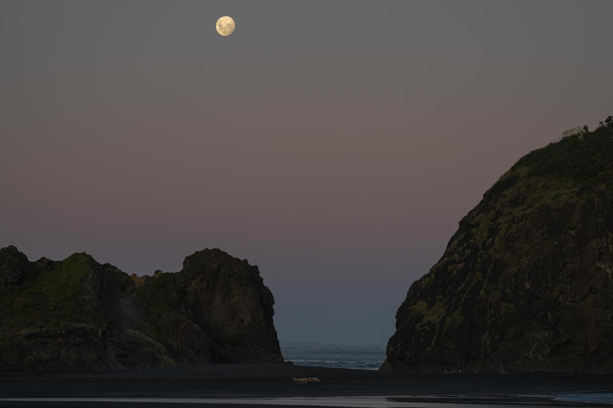 Flynn;The moon;Auckland