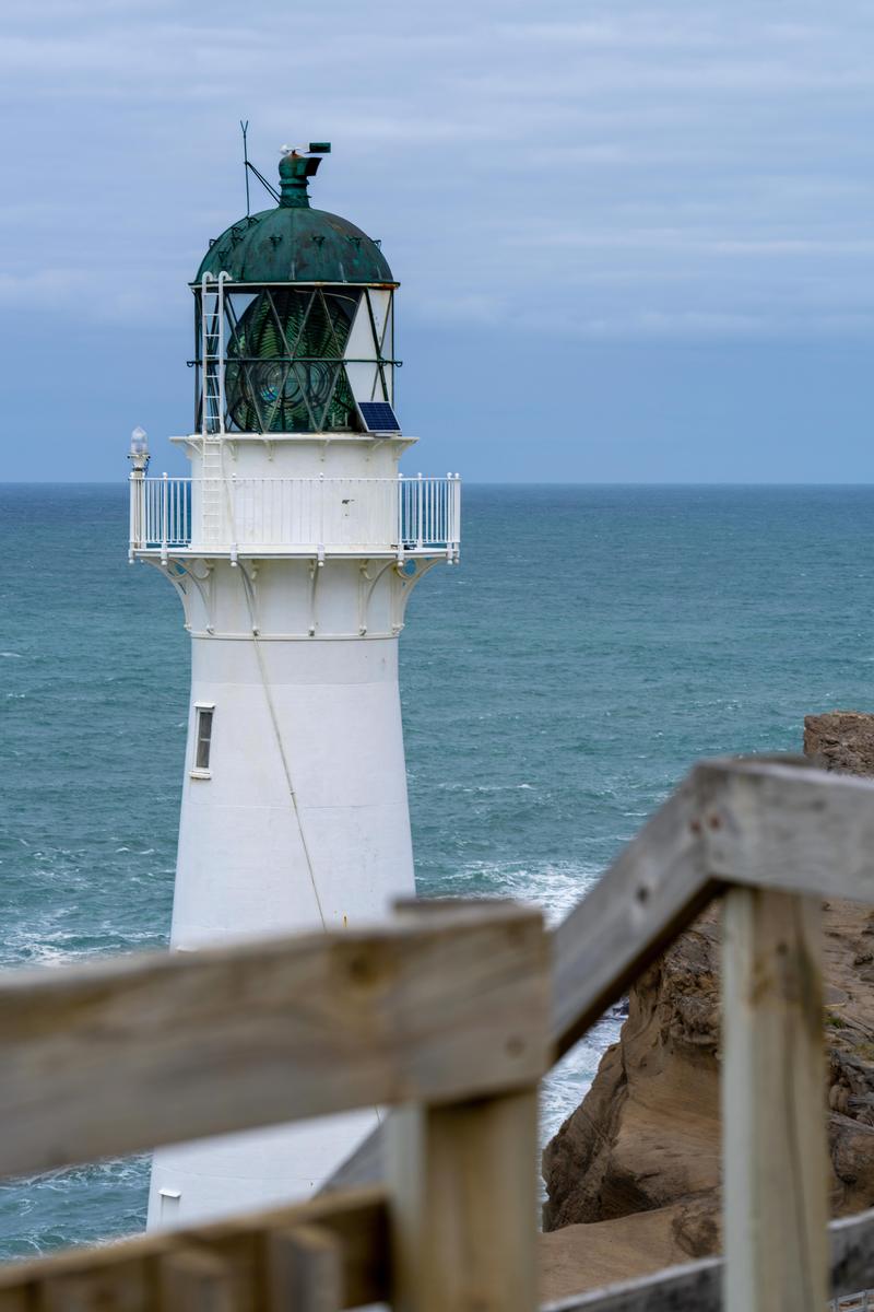 Flynn;The lighthouse;castle point