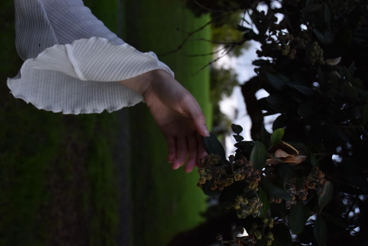 Gemma Monk;Grounding people;This image shows a hand lightly touching flowers on a tree. Nature helps calm and ground people   signifying the hand touching the plant in a way for calmness.